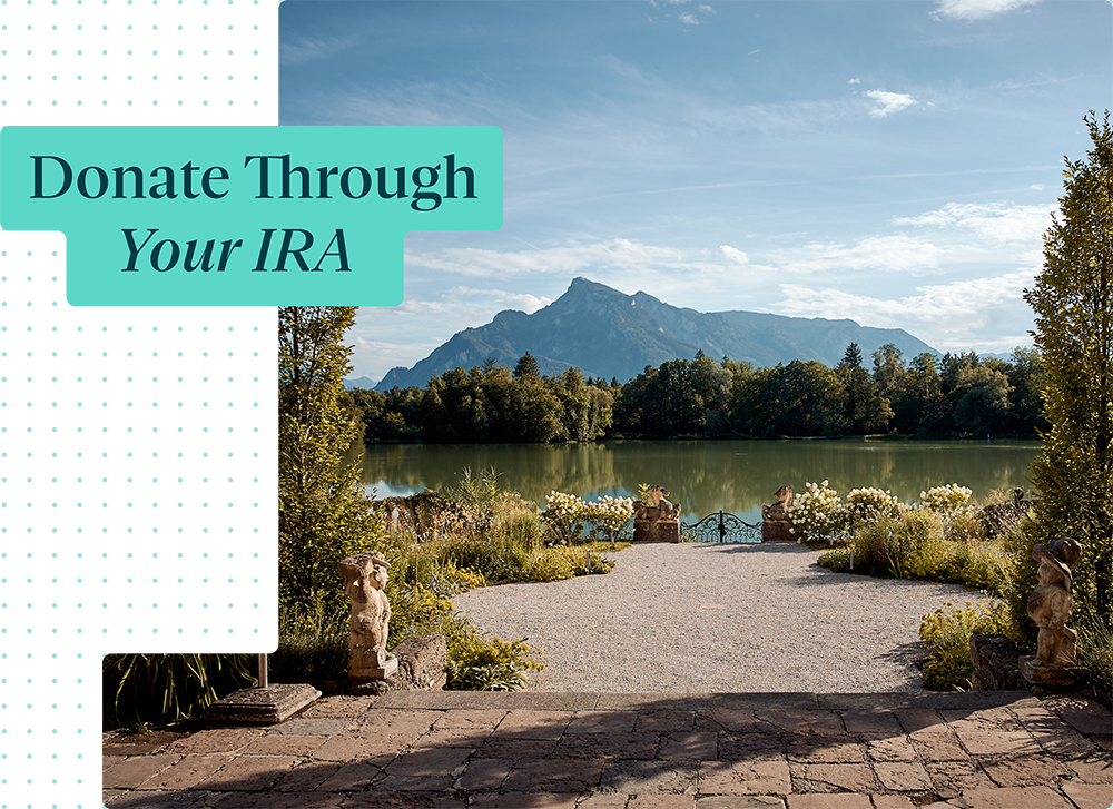 Banner image - Slide 2